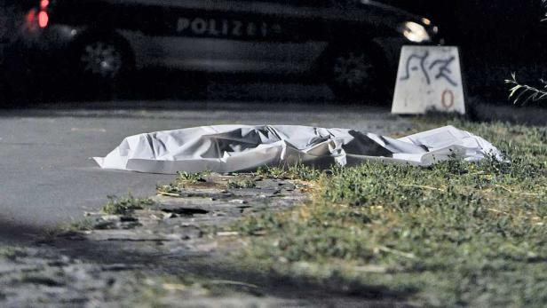 Mordalarm: Toter auf der Donauinsel