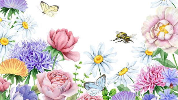 Die Geschichte von den Bienen und Blumen ist eine beliebte Metapher, wenn es um sexuelle Aufklärung geht.