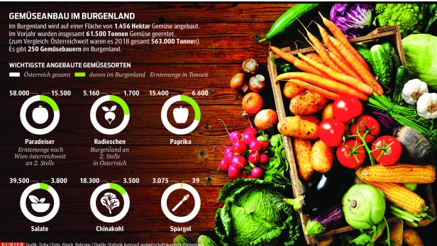 Rund 61.000 Tonnen Gemüse wurden im Vorjahr im Burgenland geerntet.
