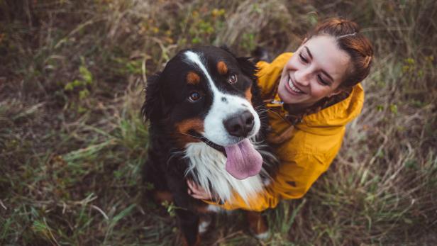 Eine Erhebung legt nahe, dass Hundehalter mehr Freude im Leben haben.