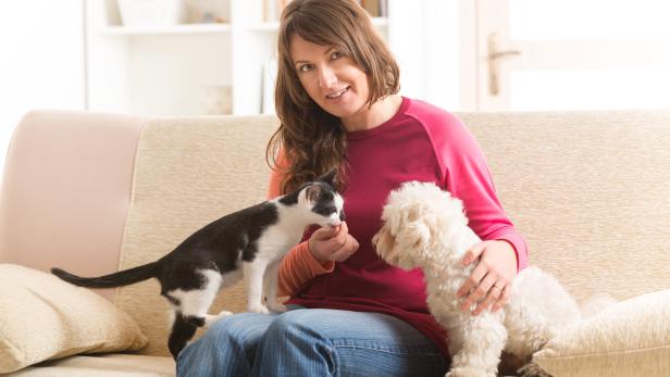 Glück durch Hund oder Katze: Was eine Psychologin sagt