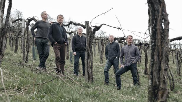 46-144837223 Fünf Männer stehen in einem Weinberg zwischen den Rebstöcken.