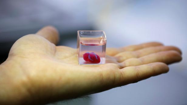 Herz aus dem 3D-Drucker: Israelische Forscher druckten mit menschlichen Zellen