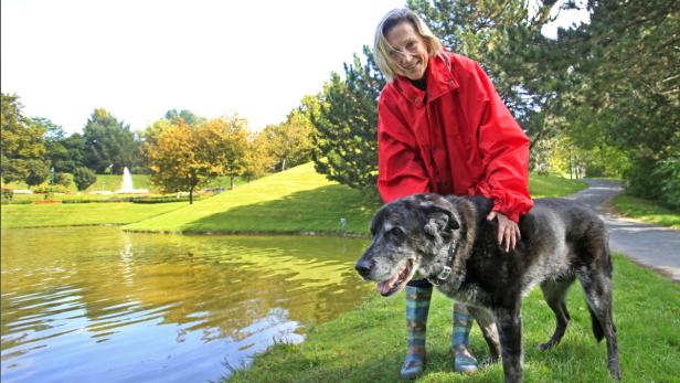In diesen Teich fielen Susanne Erner und ihr Hund Jossy.