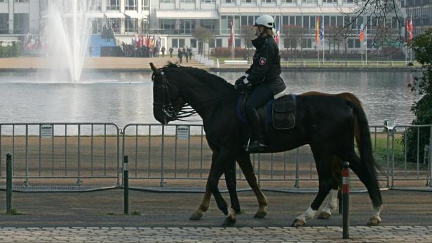FPÖ will Pferde-Polizei auf der Insel