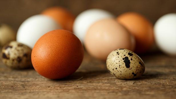Fresh chicken and quail eggs on a wooden background