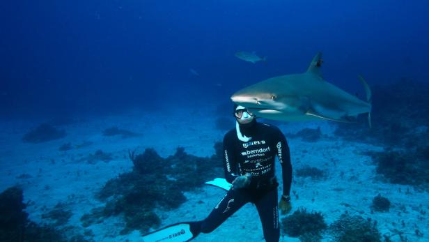 Atemlos durch die Weltmeere: Der Mann, der mit Haien kuschelt