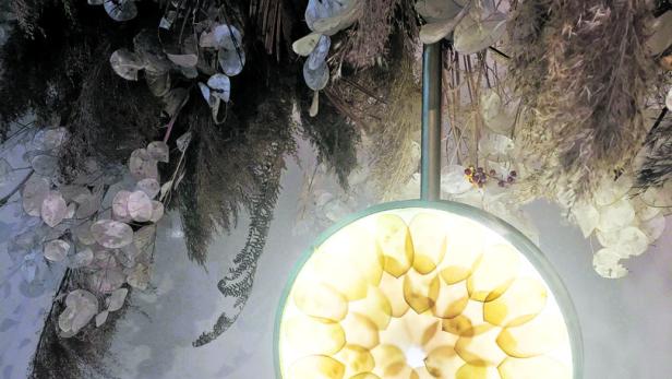 Design der Woche: Valentina Zuendels Leuchte aus Blüten