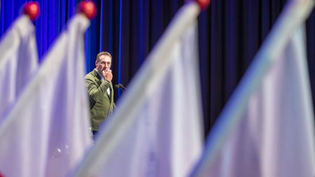 Ein Drittel der FPÖ-Wähler wünscht sich Strache zurück