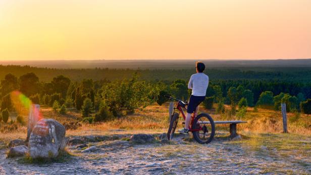 Hoch wie ein Riese und platt wie eine Flunder – Natururlaub in Niedersachsen von den Bergen bis ans Meer erleben