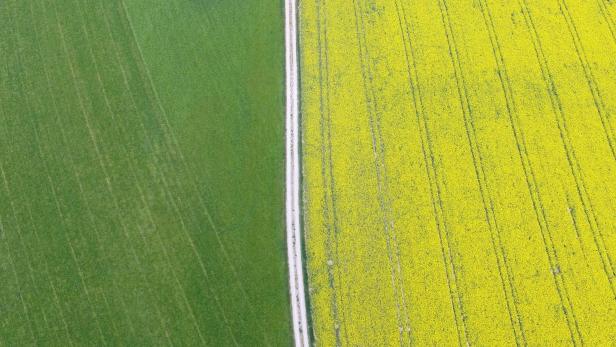 Österreich hat in Europa die meiste Bio-Landwirtschaft