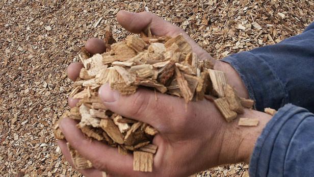 Vom Windrad zum Biomasse-Heizwerk