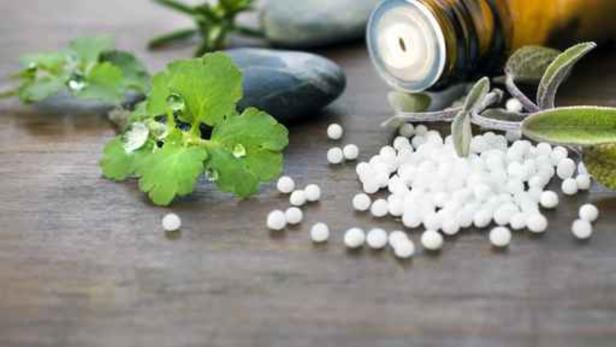 Patientenanwältin Pilz kritisiert einen Homöopathie-Workshop scharf