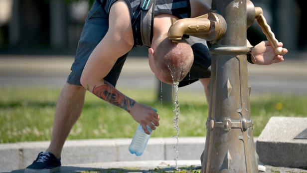 Hydranten sind derzeit beliebt: Kühlen Kopf bewahren heißt es für diesen jungen Mann.