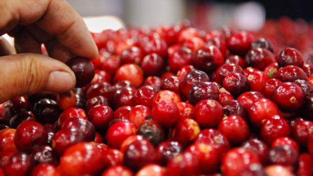 Rote Cranberrys sollen gegen Blasenentzündung helfen