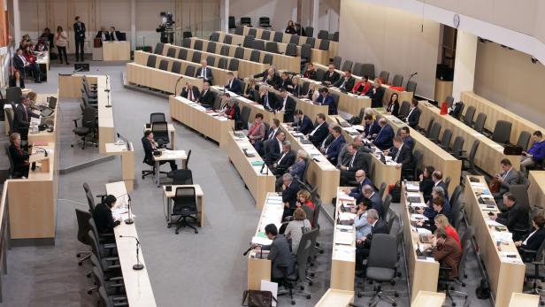 Sitzung des Bundesrates in Wien, Februar 2019.