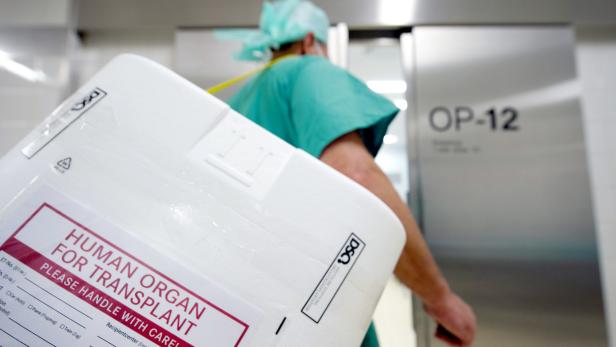 Nierentransplantation: Neues Gerät soll Organe verbessern