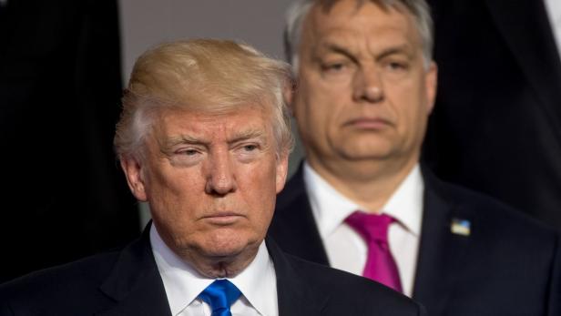 Trumps Osteuropa-Offensive: Orbán zu Gast in Washington