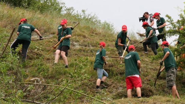 Freiwillige schützen Trockenrasen-Biotope