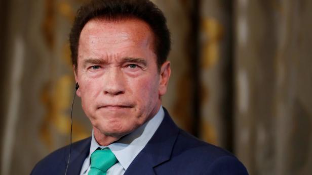 Keine Anzeige von Arnold Schwarzenegger