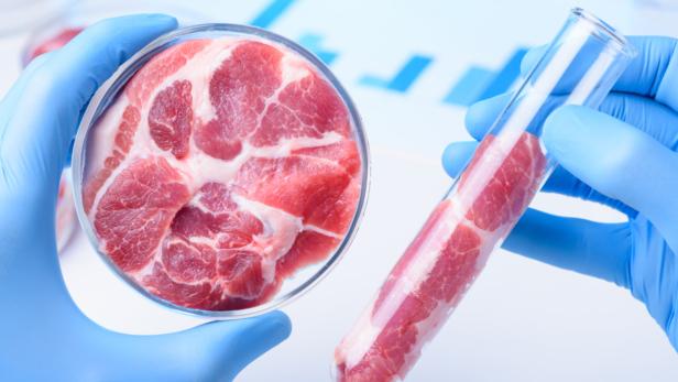 Essen in Zukunft: Warum Schwein & Co. ersetzt werden müssen
