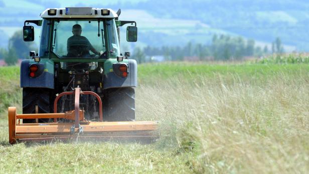 Ein Traktor mäht ein Feld mit hohem Gras.