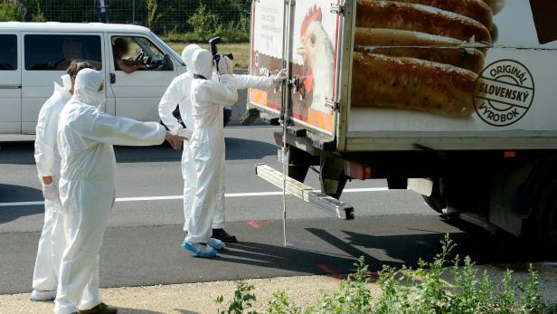 71 Tote: Berufungsverfahren am 6. Juni in Szeged