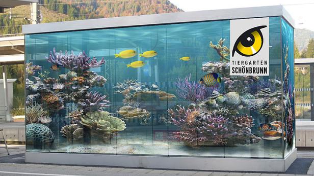 Eine Werbung für den Tiergarten Schönbrunn zeigt ein großes Aquarium mit Fischen und Korallen.