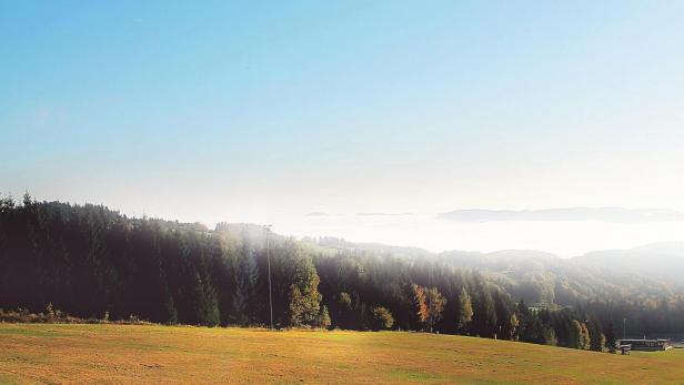 Der Sonne entgegen