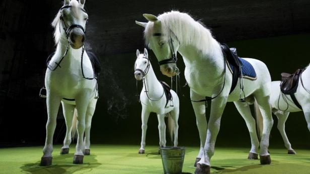 Katrin Brack hat ein grandioses Bühnenbild beigesteuert: Auf einem Kunstrasen stehen sieben lebensgroße Pferde
