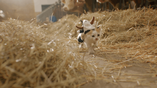 Kätzchen verkleidet als Kuh wirbt für Österreichs Milch