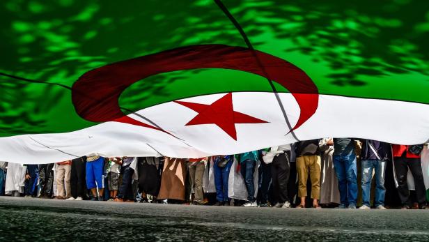Algerien will Präsidentschaftswahl verschieben: keine Bewerber