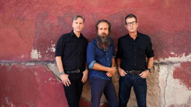 Gemischte Platte - mit Sonic Youth, Calexico and Iron & Wine
