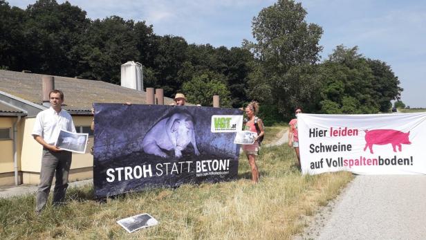 Aktivisten fordern Stroh statt Vollspaltenboden für Schweine
