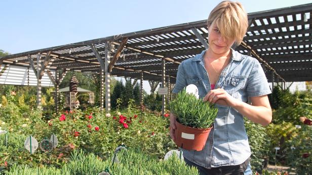 Duale Akademie startet im Herbst in den Beruf Garten- und Grünflächengestaltung und Floristik