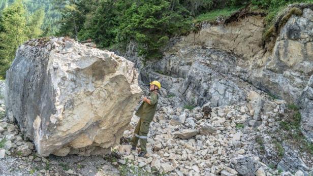 Bezirk Neunkirchen: 26 Tonnen schwerer Fels wurde gesprengt