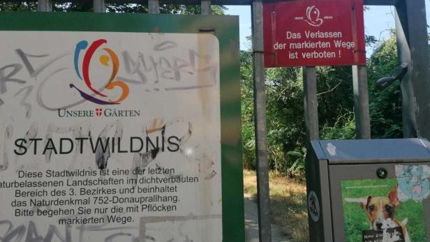 Toter in Wiener Park gefunden: Tatverdächtiger festgenommen