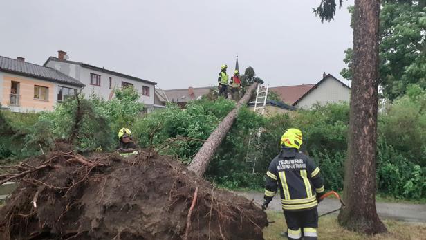 Unwetter: Umgekippte Bäume sperren Familie in Wohnhaus ein