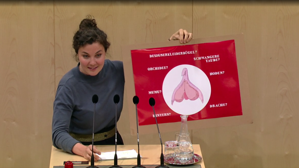 Jetzt-Abgeordnete Stephanie Cox hielt im Parlament eine Taferl hoch, auf dem eine Klitoris zu sehen ist