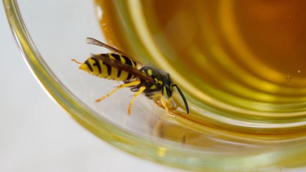 Im Sommer kann ruckzuck eine Wespe im Glas landen