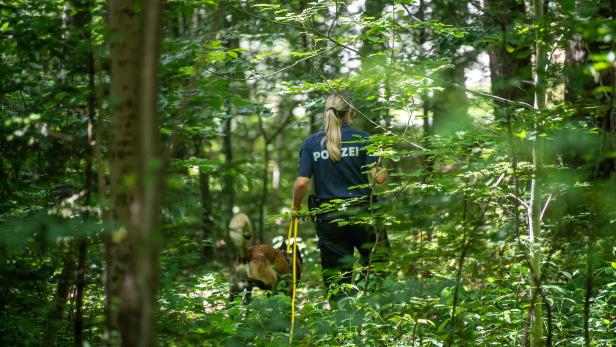 München: Eine Polizistin suchte am Rande eines Waldstücks nach Hinweisen nach der Vergewaltigung