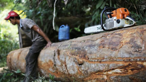 Profitgier vor Klimaschutz am Amazonas: "Da geht man über Leichen"