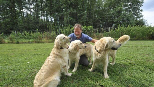 Hochsaison in der Hundepension: Wenn die Vierbeiner einchecken