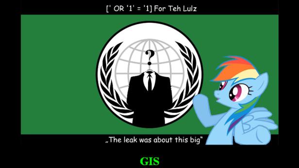 Anonymous hackt GIS-Webseite