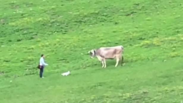 Video: Wanderer provozierte Kuh mit seinem Hund