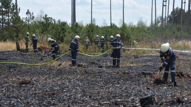 Waldbrände stehen derzeit angesichts der enormen Hitze und Trockenheit fast an der Tagesordnung. Im Föhrenwald im südlichen Niederösterreich musste die Feuerwehr allein im Juli acht Mal ausrücken.