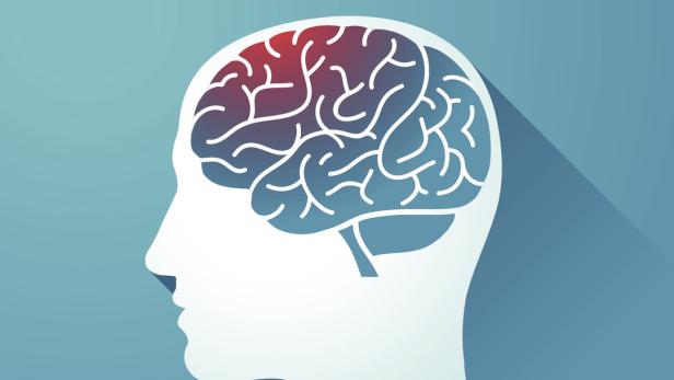 Neuroprotective Effects of Ethyl protocatechuate Neuroprotective Effects of Ethyl protocatechuate