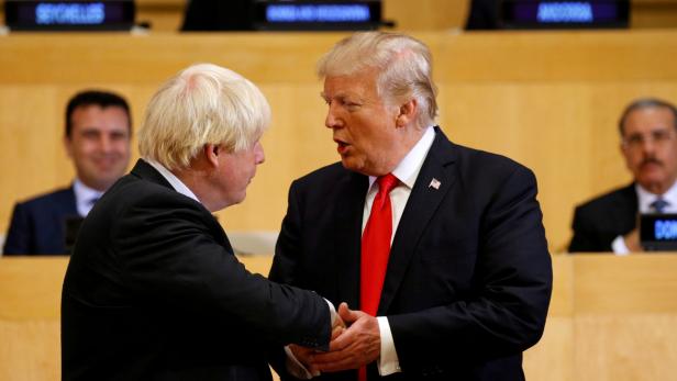 Brexit: Trump stellt Briten "fantastischen" Deal in Aussicht