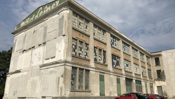 Junge Firmen in alter Fabrik: Start-ups beleben Mödlinger Ruine