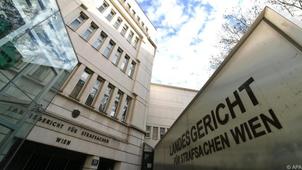 Der Schwede muss sich am Wiener Landesgericht verantworten
